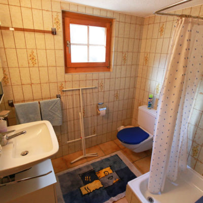 Salle de bains avec douche-WC.